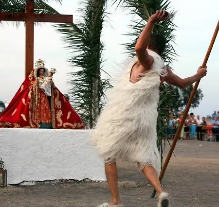 Live Guimar House